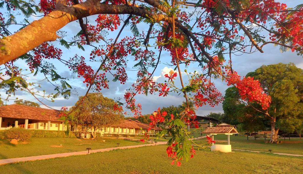 Paraopeba Sertao Veredas Hotel Fazenda מראה חיצוני תמונה